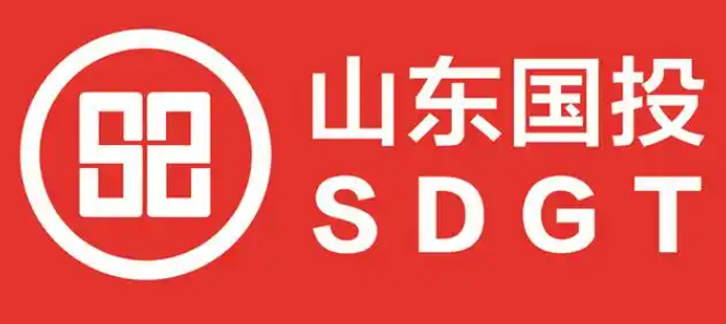 山东国控有限公司